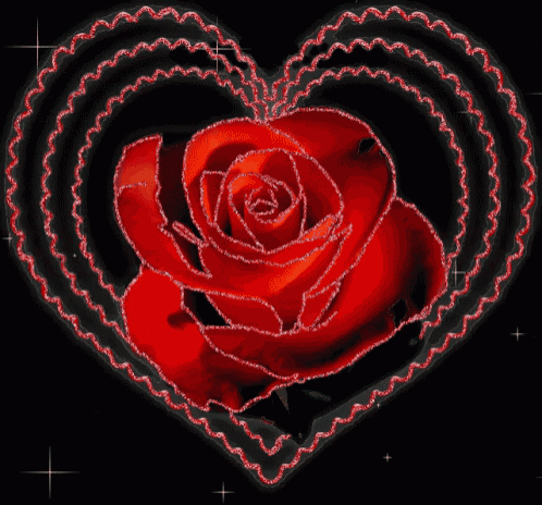 a red rose in a heart shaped frame