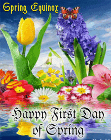 a spring equinox greeting card with flowers and butterflies