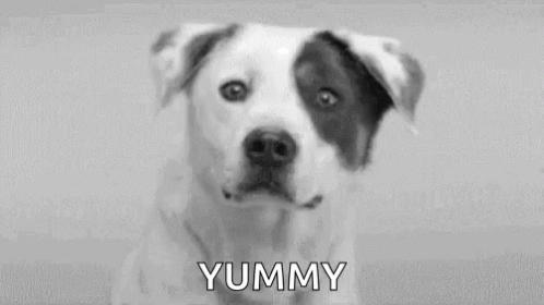 Yummy Dogs GIF - Yummy Dogs Dog GIFs