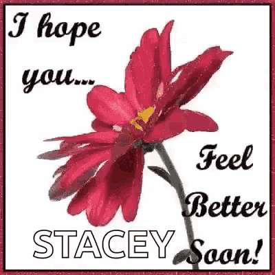 a red flower with the words `` i hope you ... feel better stacey soon '' written on it .