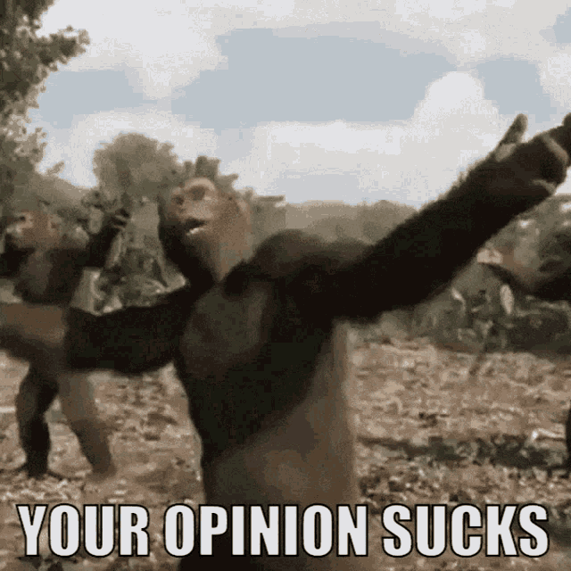 Opinion Sucks Your Opinion Sucks GIF - Opinion Sucks Your Opinion Sucks Opinion Bad GIFs