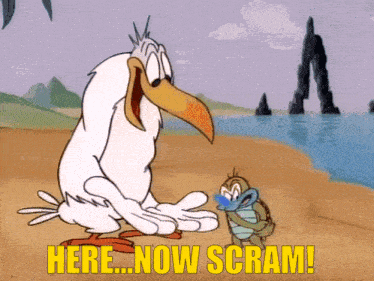 a cartoon of a bird and a turtle with the words here now scram