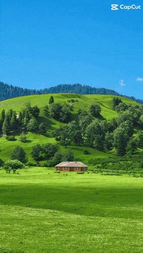 a watermelon is being thrown in the air in front of a lush green hillside
