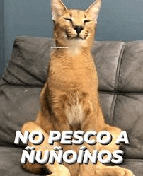 a cat is sitting on a couch with its eyes closed and a caption .