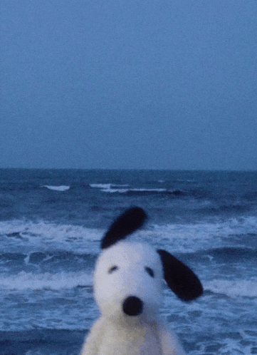 a stuffed snoopy dog is standing on the beach with the ocean in the background