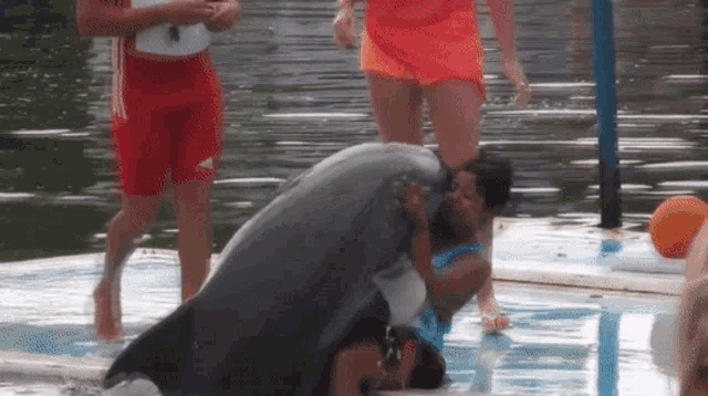 a dolphin laying on a woman 's back in a pool