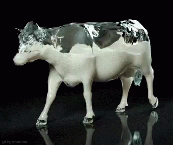 Cow Milk GIF - Cow Milk Walking GIFs