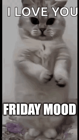Friday End Of The Week GIF - Friday End Of The Week Dancing Cat GIFs