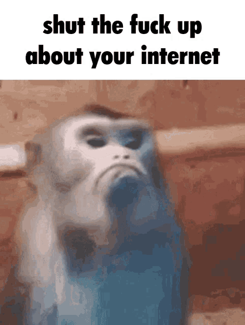 Slow Internet Internet Down GIF