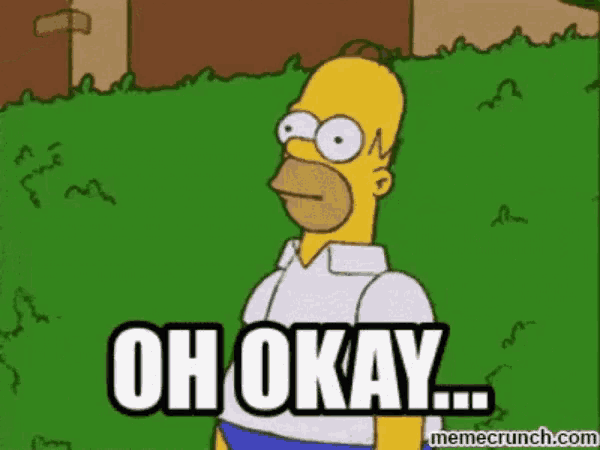Homer Simpson The Simpsons GIF