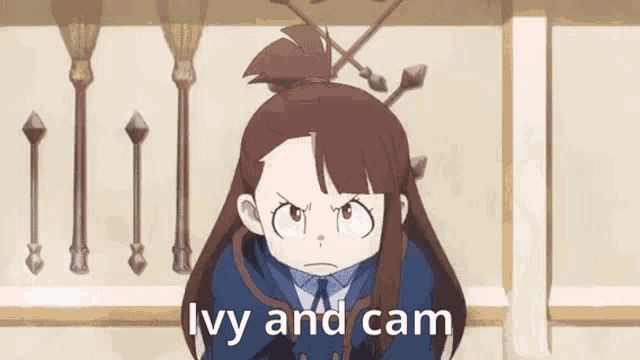 a cartoon girl with a ponytail and the words ivy and cam written on the bottom .