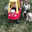 Dogs Driver GIF - Dogs Driver Maul GIFs