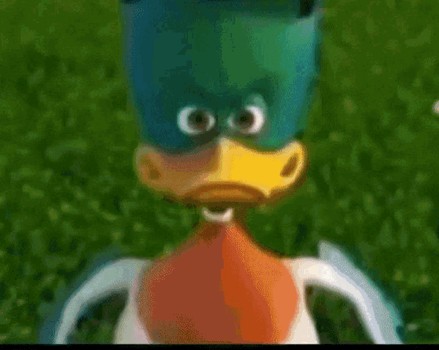 a close up of a cartoon duck 's face with big white eyes