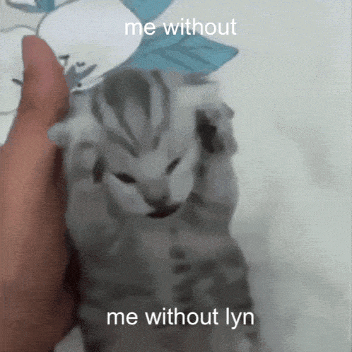 Me Without Lyn GIF - Me Without Lyn GIFs