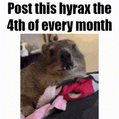 a picture of a dog with the words post this hyrax the 4th of every month above it