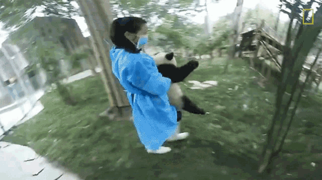 Carrying 360baby Pandas GIF - Carrying 360baby Pandas Stay There GIFs