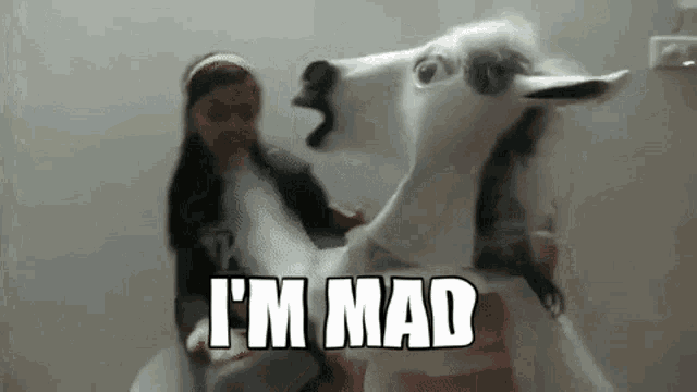 a girl is holding a stuffed animal with the words `` i 'm mad '' above it .