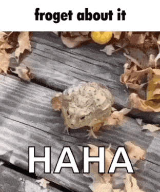 Frog Forget GIF - Frog Forget Forget About It GIFs