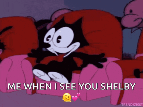 felix the cat is sitting on a pink couch with the words me when i see you shelby