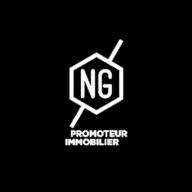 a logo for a company called promoteur immobilier with a black background .