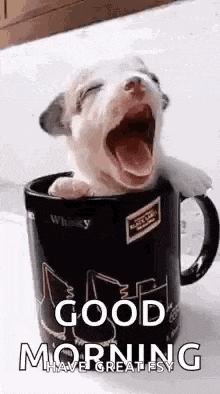 a puppy is yawning in a coffee mug with a good morning message .