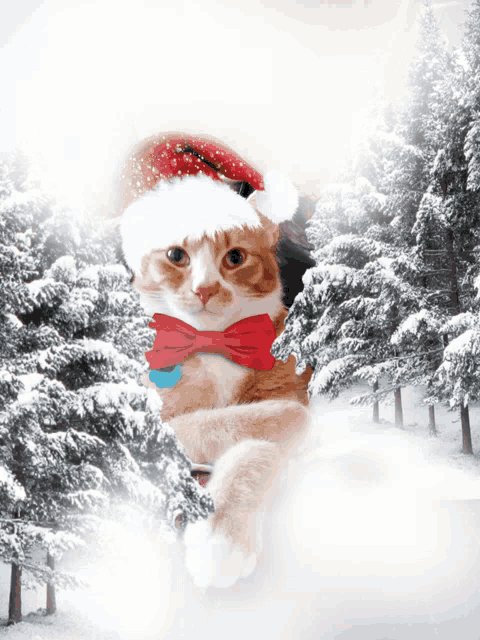 a cat wearing a santa hat and bow tie laying in the snow