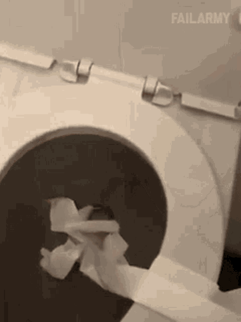 Dropped Toilet Paper In Toilet Bowl Failarmy GIF - Dropped Toilet Paper In Toilet Bowl Failarmy Flushed Toilet Paper Roll GIFs
