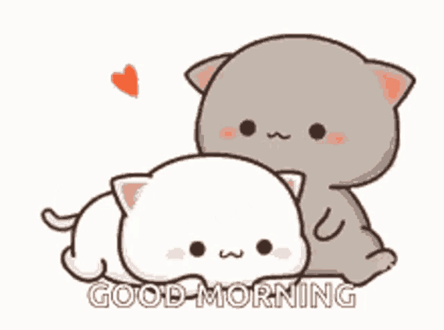 a couple of cartoon cats hugging each other with the words `` good morning '' written below them .