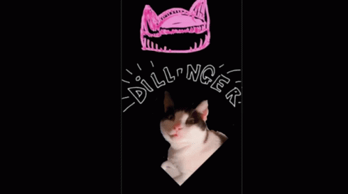 Palais Des Chats Dillinger GIF - Palais Des Chats Dillinger Cats Palace GIFs