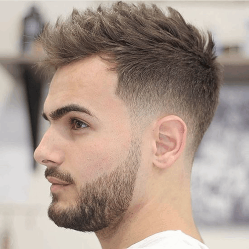 a man with a beard and a short haircut