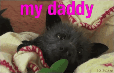 a bat laying on a blanket with the words " my daddy " written above it