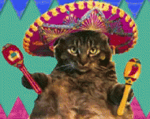 Mexican Sombrero GIF