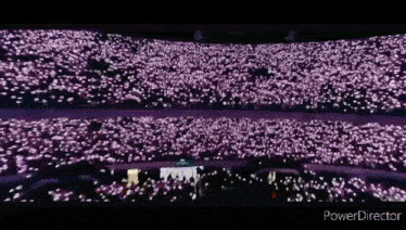 a crowd of people in a stadium with the words power director on the bottom right
