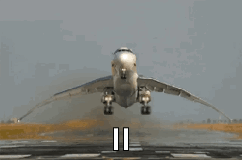 Airplane Flapping Wings GIF