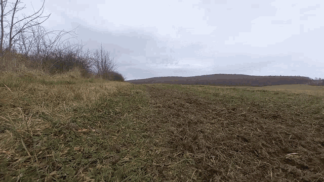 a dirt field with trees in the background and a cloudy sky
