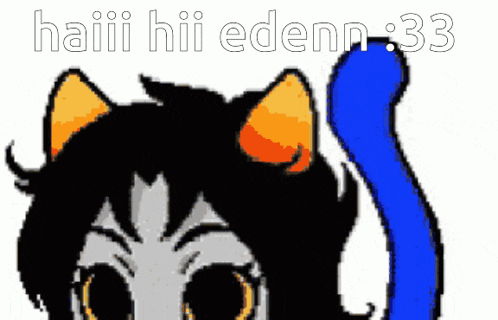 a pixel art of a cat with the words haiii hii edenn 33