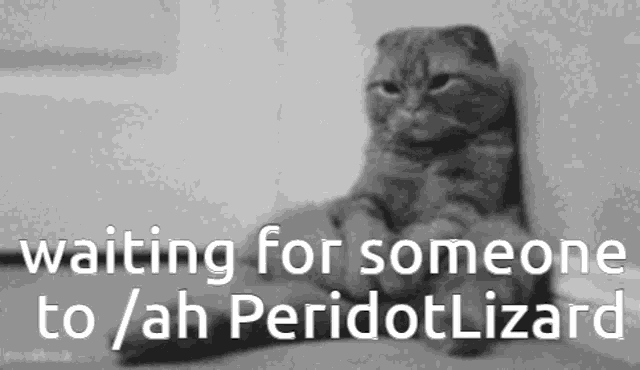 a cat is sitting in front of a sign that says waiting for someone to ah peridot lizard