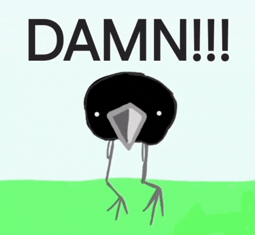 a drawing of a bird with the words " damn !!! " below it