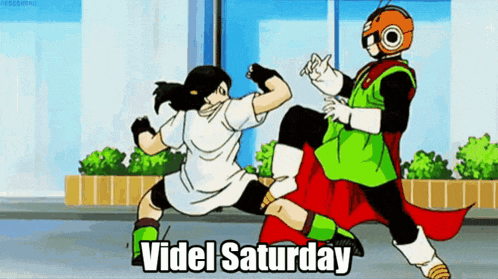 a cartoon of a man and a woman fighting with the words " videl saturday " below them .