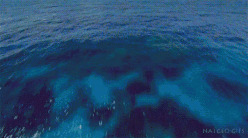 an aerial view of a body of water with the words natgeo-gifs at the bottom
