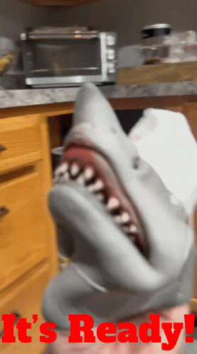 Shark Puppet Its Ready GIF - Shark Puppet Its Ready Foods Ready GIFs