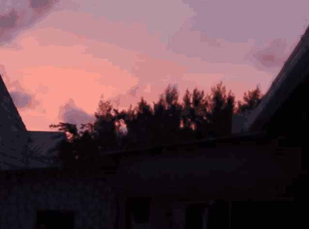 a sunset with trees in the foreground and a roof in the background