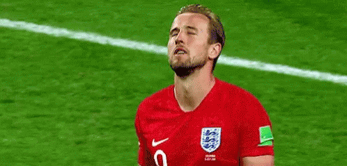 Harry Kane World Cup GIF - Harry Kane World Cup Its Coming Home GIFs