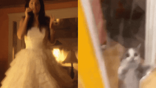 a woman in a wedding dress is dancing with a cat in the background