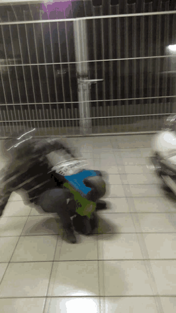 a blurry picture of a man holding a child in a green jacket that says ' i love you ' on it