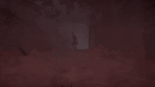 a silhouette of a person standing in a dark forest