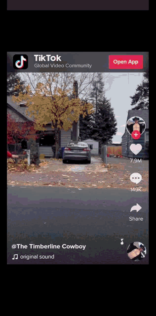 a screenshot of a tiktok video with the timberline cowboy original sound