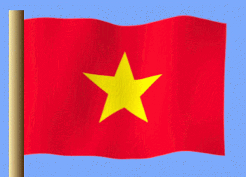 Vietnam Vietnam Flag GIF - Vietnam Vietnam Flag GIFs