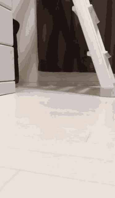 an owl is standing on its hind legs next to a white ladder