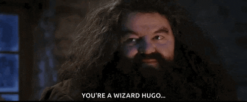 a man with long hair and a beard is smiling and says `` you 're a wizard hugo '' .